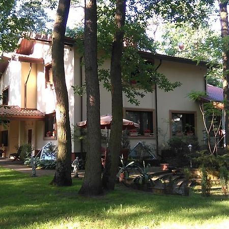 Villa Podkowa ポトコバ・レシナ エクステリア 写真