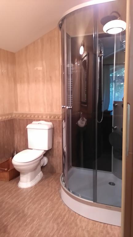 Villa Podkowa ポトコバ・レシナ エクステリア 写真