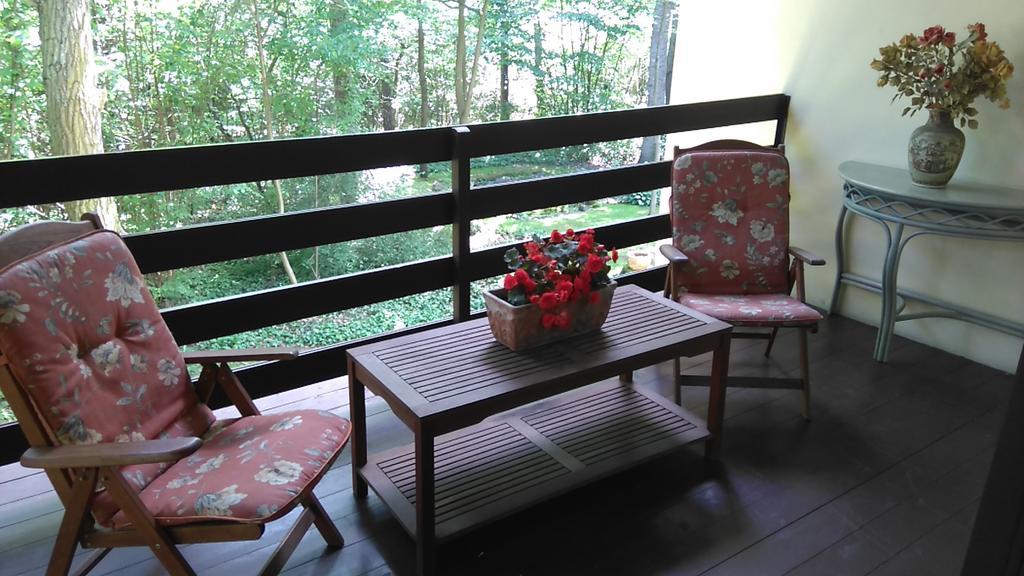 Villa Podkowa ポトコバ・レシナ エクステリア 写真