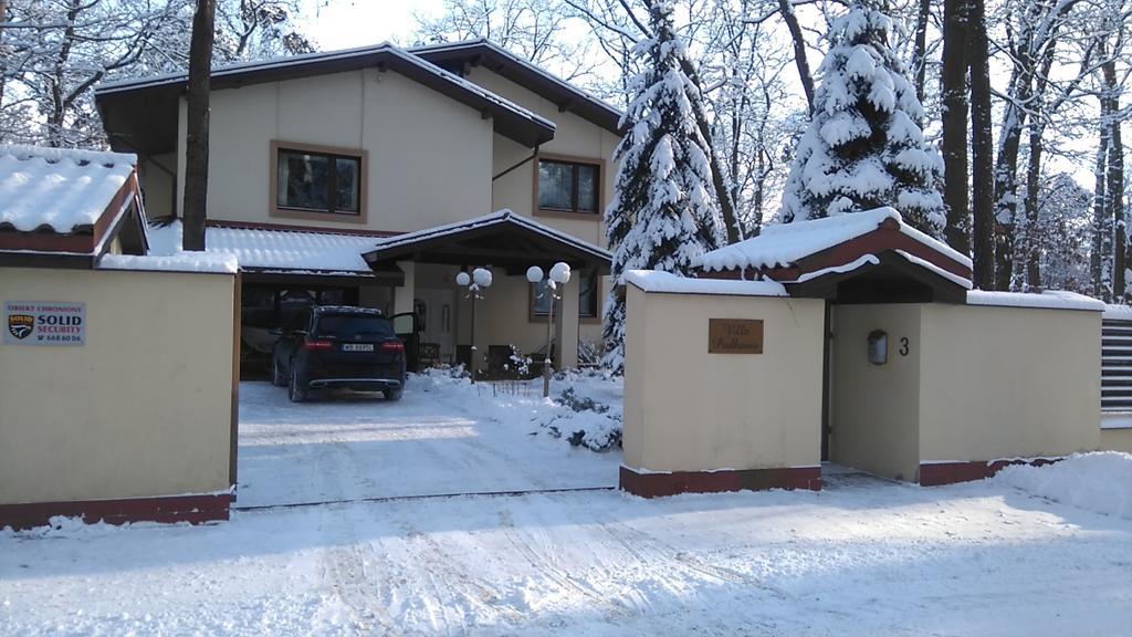 Villa Podkowa ポトコバ・レシナ エクステリア 写真