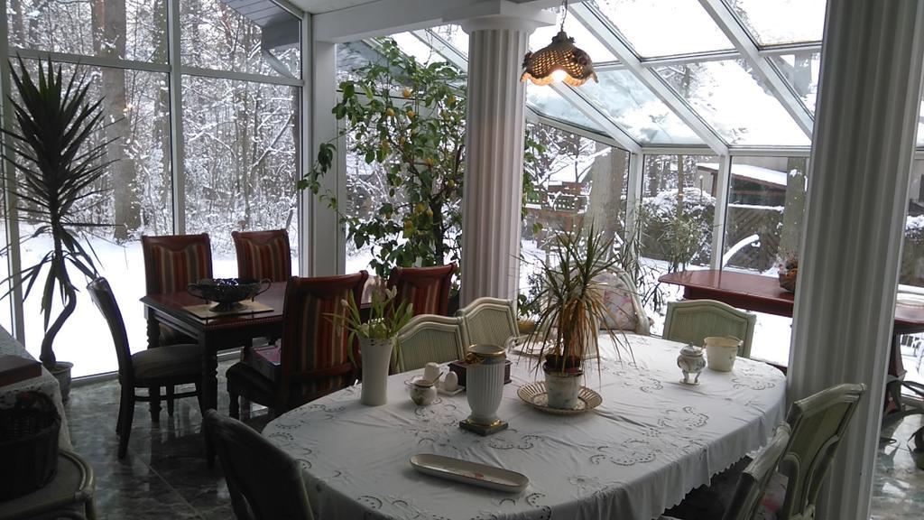 Villa Podkowa ポトコバ・レシナ エクステリア 写真